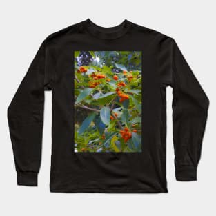 fascinating nature Long Sleeve T-Shirt